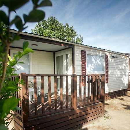 Bungalows Zaragoza Camping ภายนอก รูปภาพ