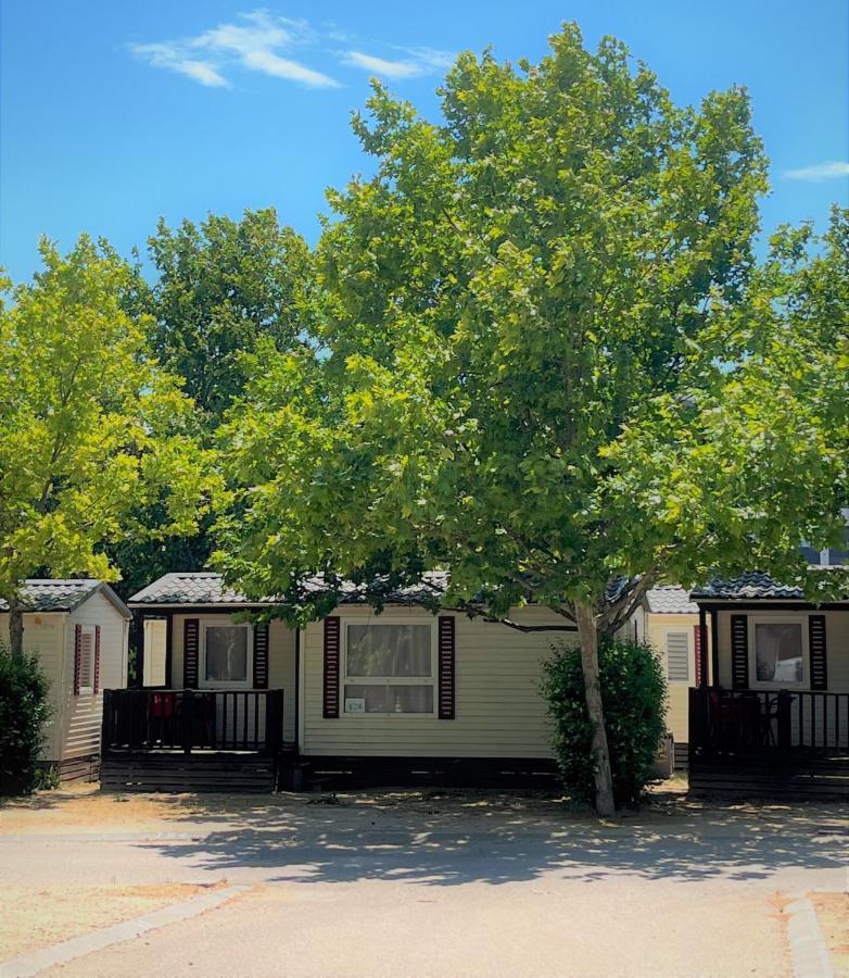 Bungalows Zaragoza Camping ภายนอก รูปภาพ