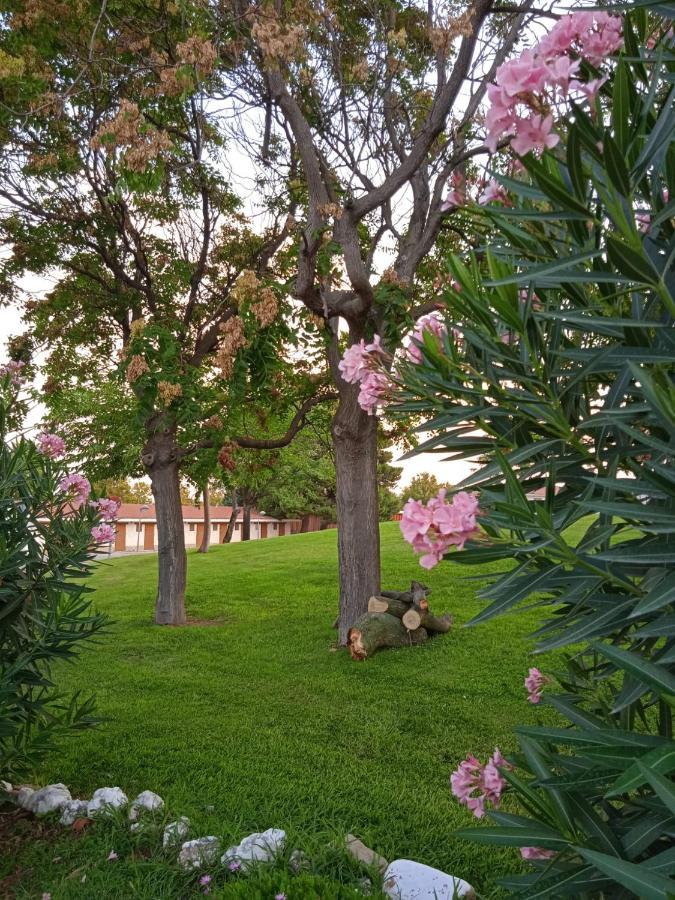Bungalows Zaragoza Camping ภายนอก รูปภาพ