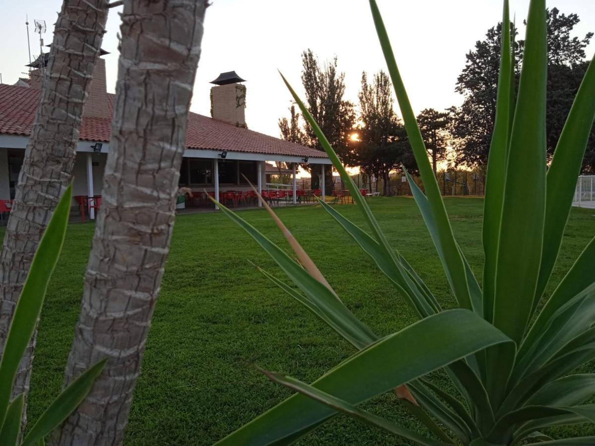 Bungalows Zaragoza Camping ภายนอก รูปภาพ